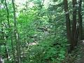 Mt Cardigan NH 2010 0075